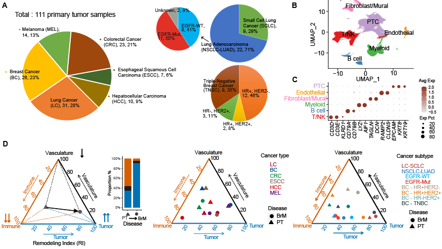 Cancer Cell | 白凡课题组合作解析泛癌脑转移特征