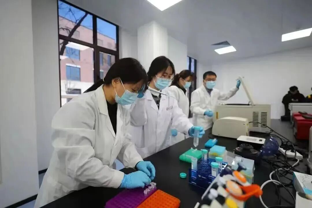学习总书记回信 聆听北辰青年心声